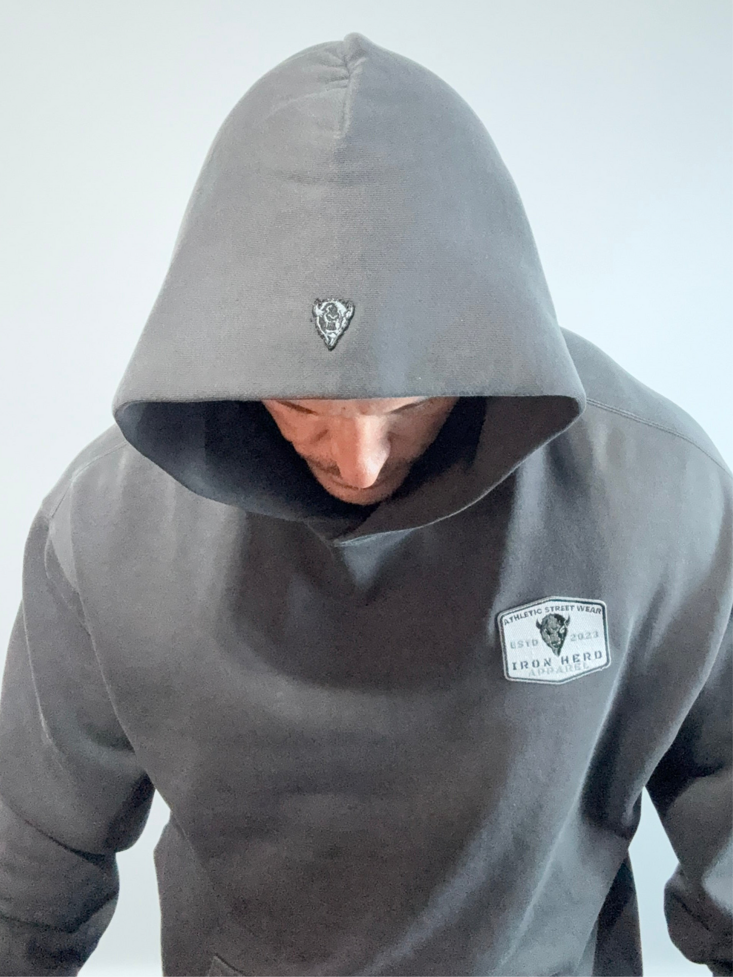 Iron Classic Patch Faded Hoodie
