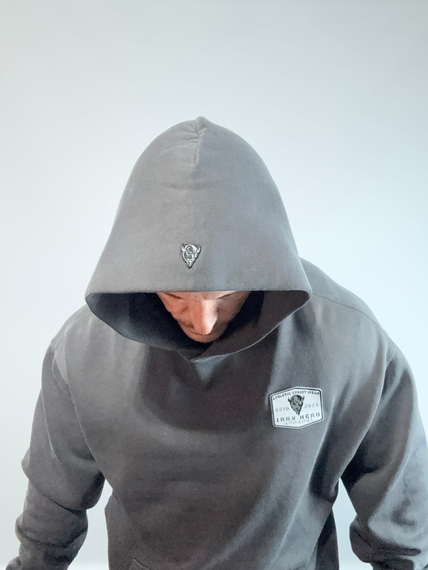 Iron Classic Patch Faded Hoodie