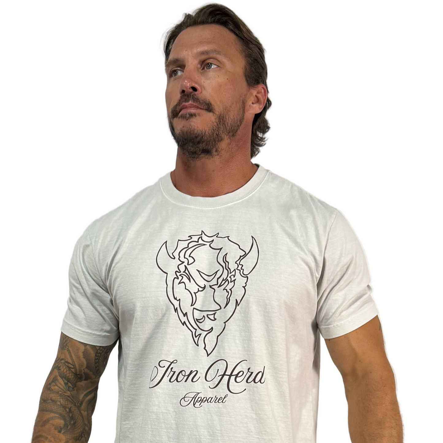 Iron Signature Heavyweight Tee v.2